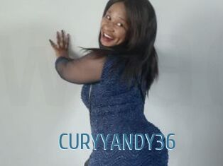 CURYYANDY36