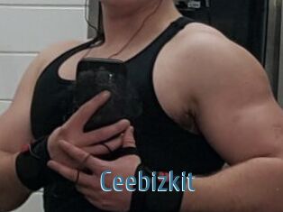 Ceebizkit