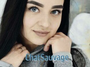 ChatSauvage