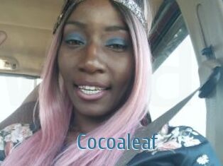 Cocoaleaf