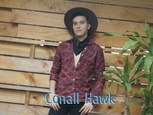 Conall_Hawk
