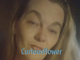 Curiousflower