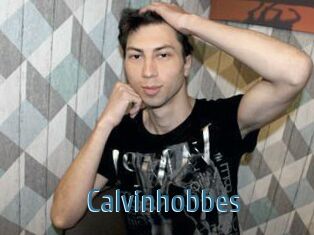 Calvinhobbes