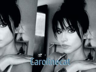 Carolinecat