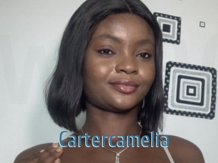 Cartercamelia