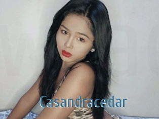 Casandracedar