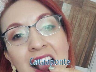 Cataaponte