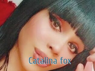 Catalina_fox