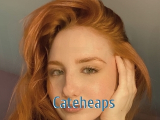 Cateheaps
