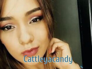 Cattleyacandy