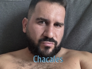 Chacales