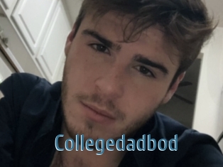 Collegedadbod