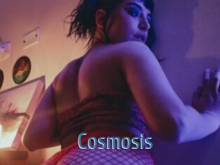 Cosmosis
