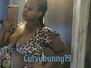 Curvybunny19