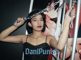DaniPunish