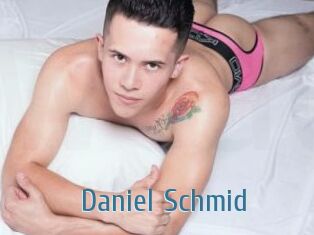 Daniel_Schmid