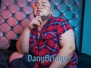 DanyBridge
