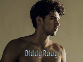 DiddyRough