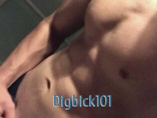 Digbick101