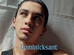 Dominicksant