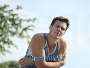 DominikYa