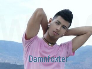 Damnfoxter