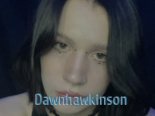 Dawnhawkinson