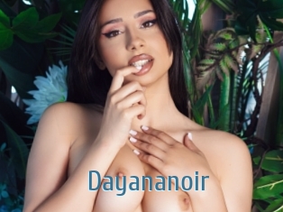 Dayananoir