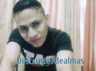 Destructordealmas