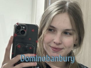Dominobanbury