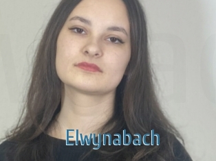 Elwynabach