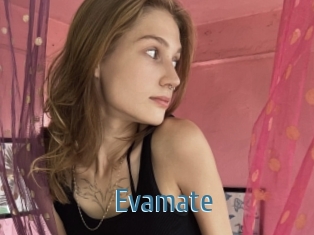 Evamate