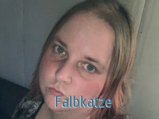 Falbkatze