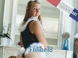 Feline18