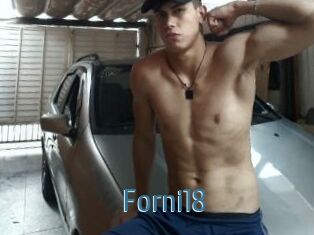 Forni18