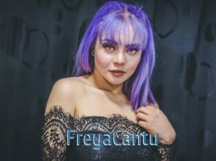 FreyaCantu