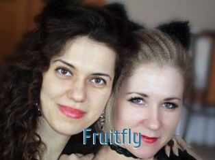 Fruitfly