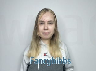 Fancybibbs