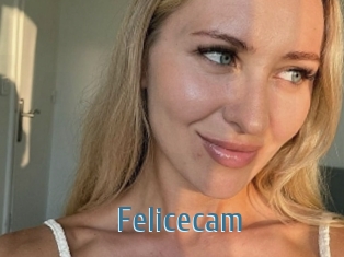 Felicecam