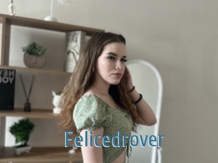 Felicedrover
