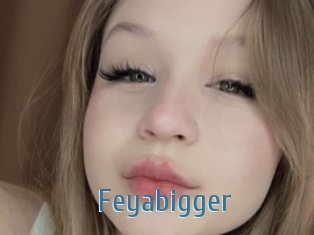 Feyabigger