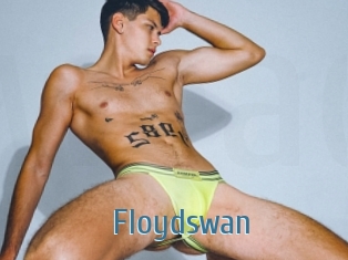 Floydswan