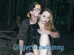 GingerSnowBunny