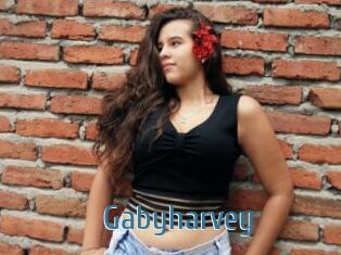 Gabyharvey