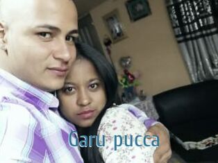 Garu_pucca