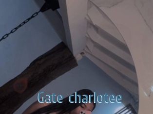 Gate_charlotee
