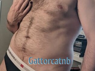 Gattorcatnb