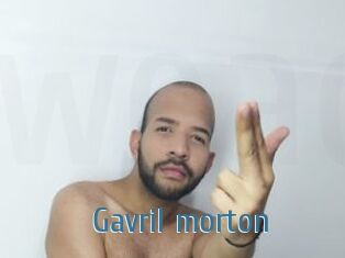 Gavril_morton