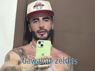 Gawainn_zeldris