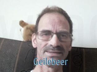 Geilebeer